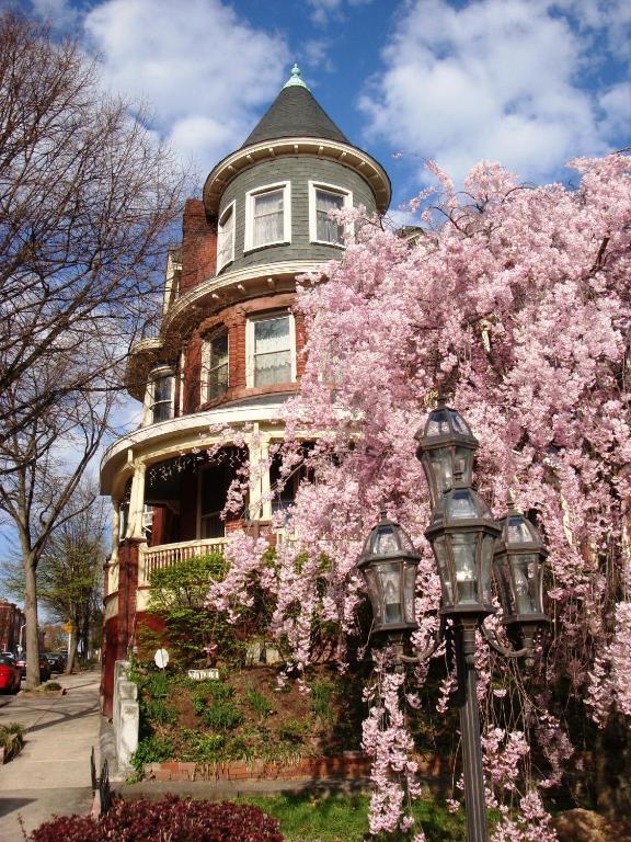 Wilson House Bed & Breakfast Baltimore Exterior foto